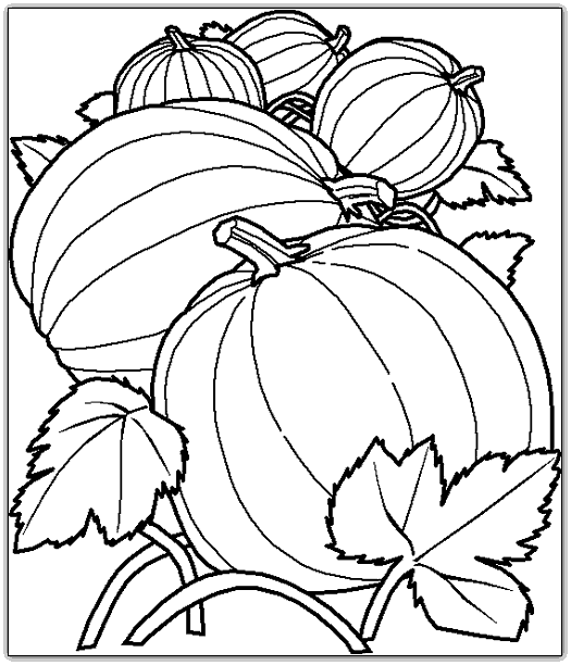 Food Coloring Pages. .com/Coloringpages/Food/