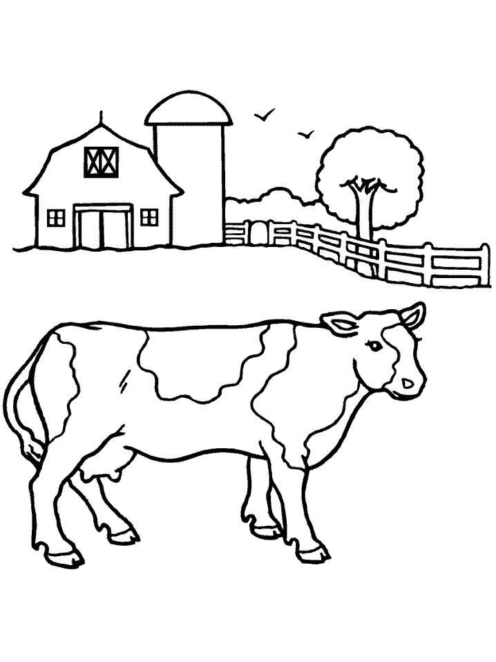 Cow printable coloring pages