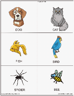 Printable Animal Flashcards & Flashcards to Print Free! Get Yours Now!